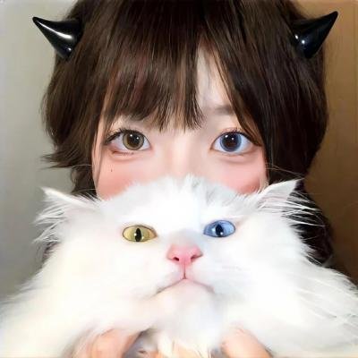 乌鸦：天空的流氓